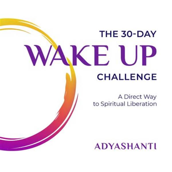Adyashanti Net Worth