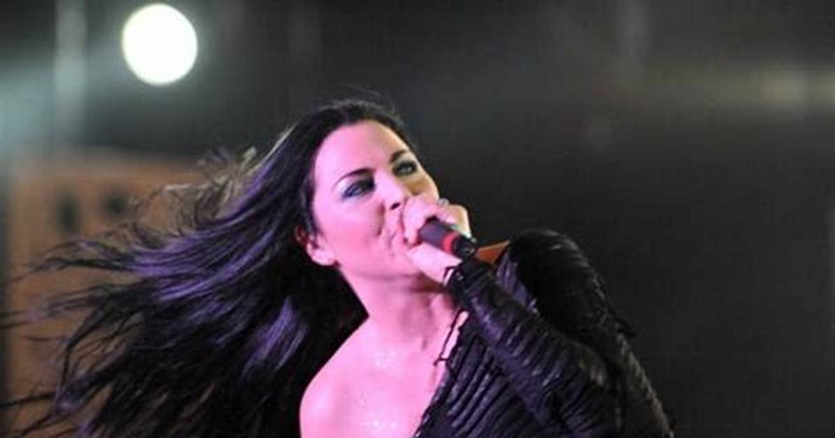 Amy Lee Net Worth