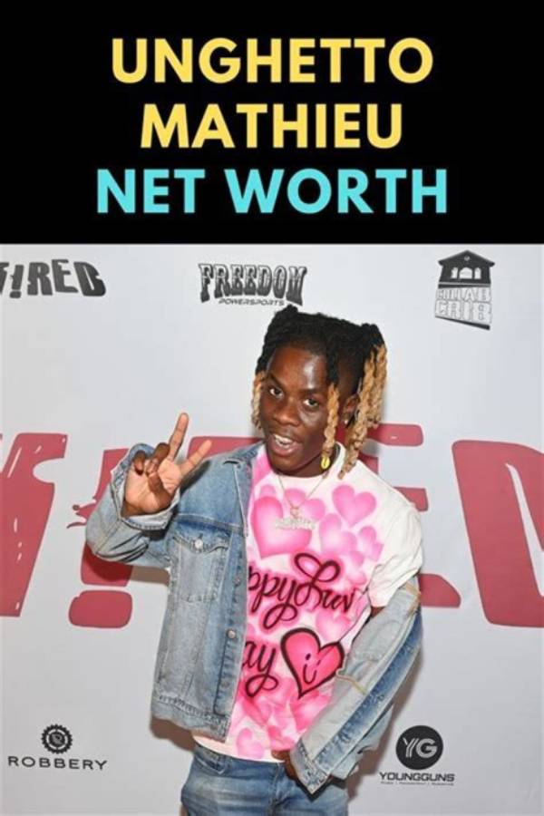 Any Mathieu Net Worth