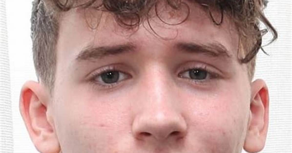 Art Parkinson Net Worth
