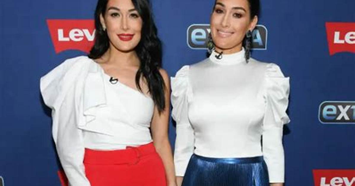 Bella Twins Net Worth