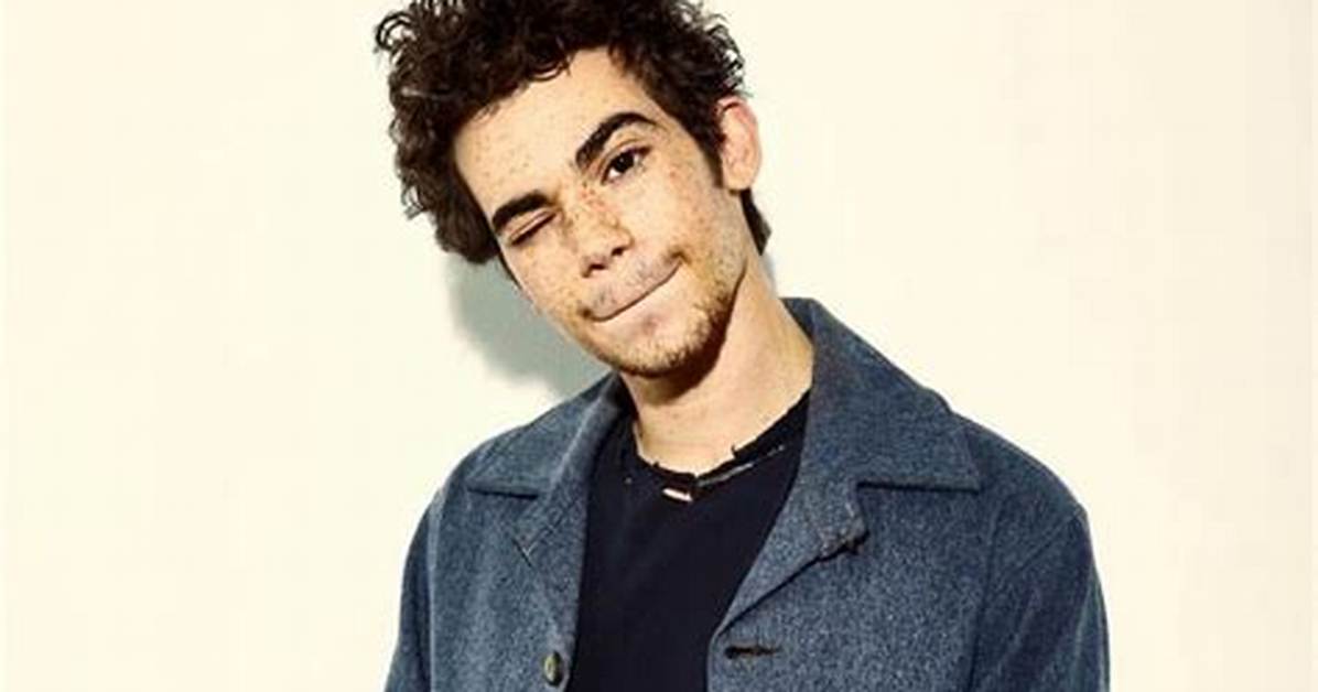 Cameron Larian - Net Worth 2018, Bio & Wiki