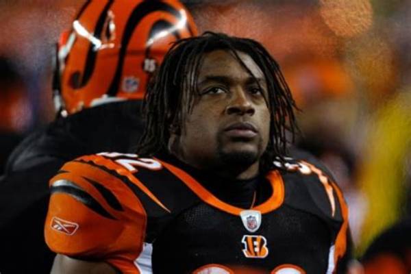 Cedric Benson Net Worth