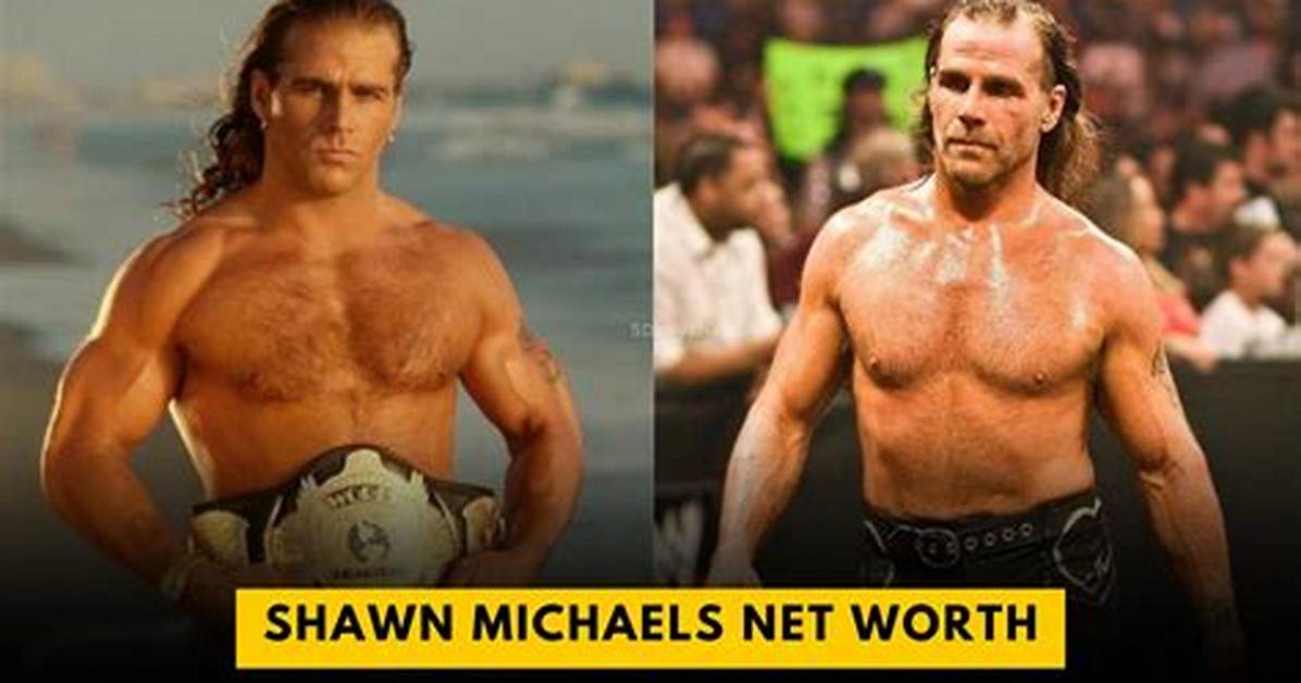 David Shawn Michaels Net Worth