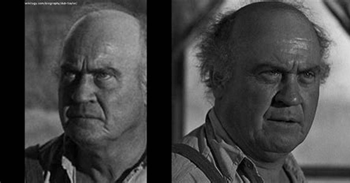 Dub Taylor Net Worth