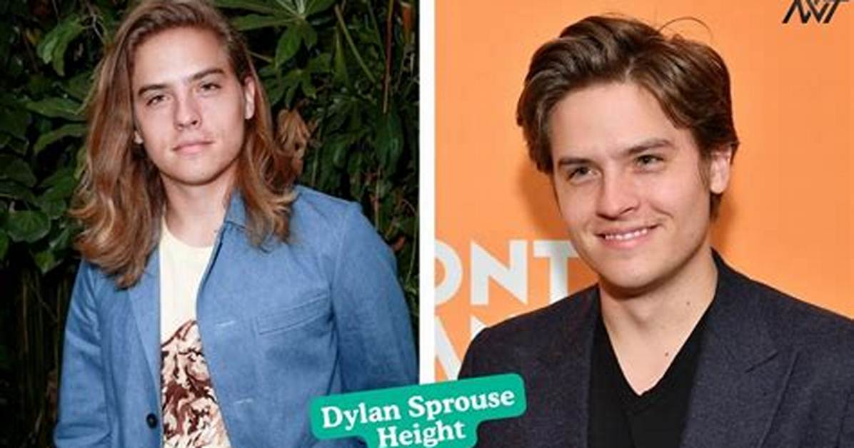 Dylan Trowbridge Net Worth