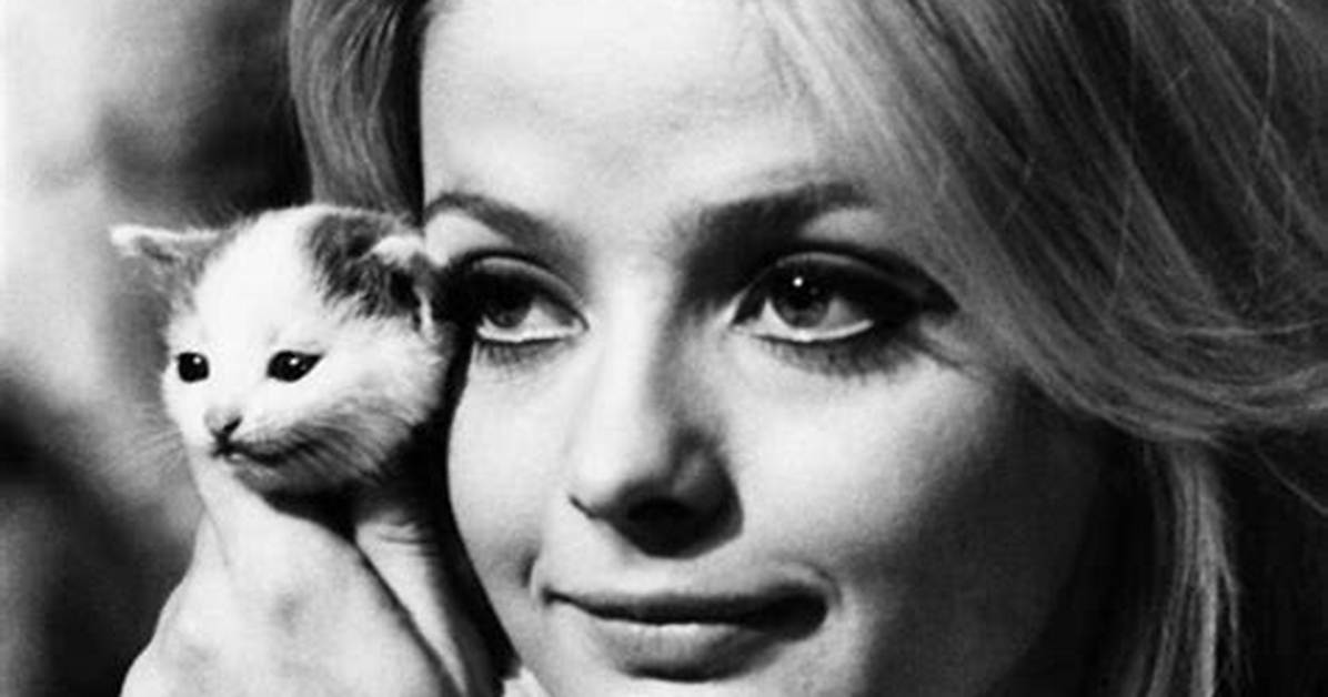 Ewa Aulin Net Worth