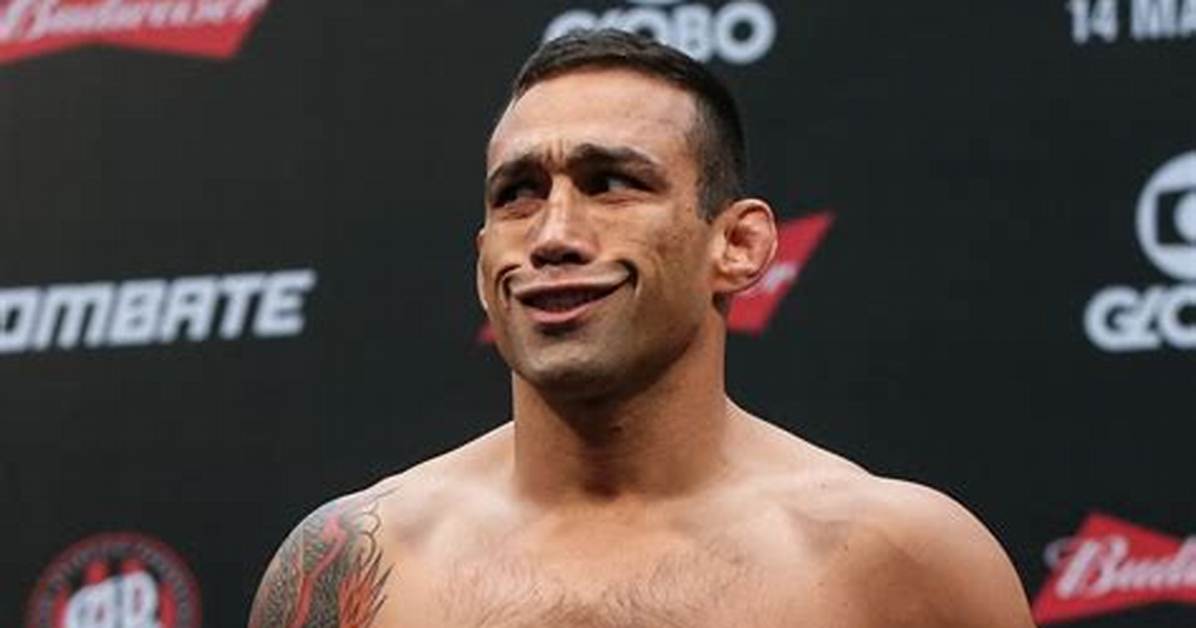 Fabricio Werdum Net Worth