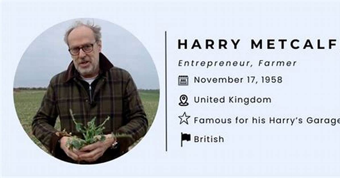 Harry Metcalfe Net Worth