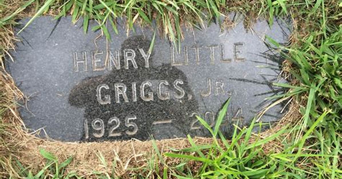 Henry Little Griggs Iii - Net Worth 2018, Bio & Wiki