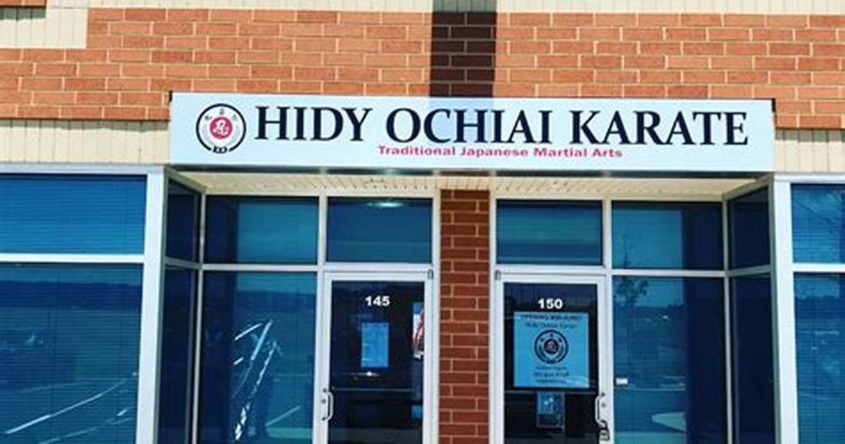 Hidy Ochiai Net Worth