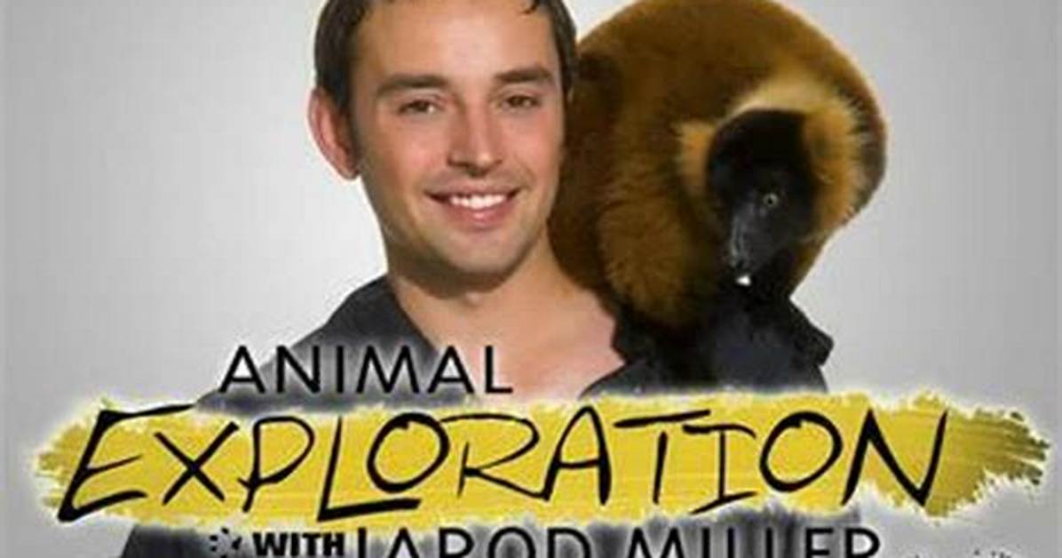 Jarod Miller Net Worth