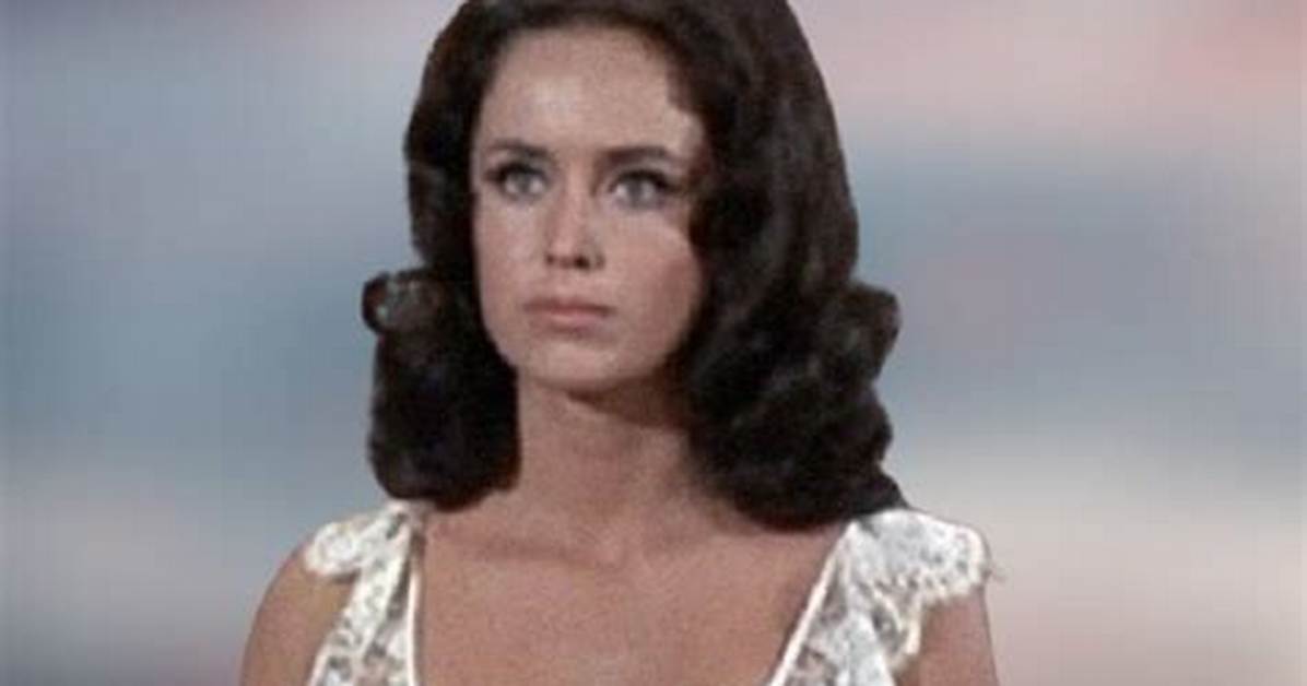 Judy Lang Net Worth