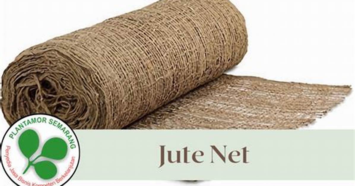 Jute Net Worth