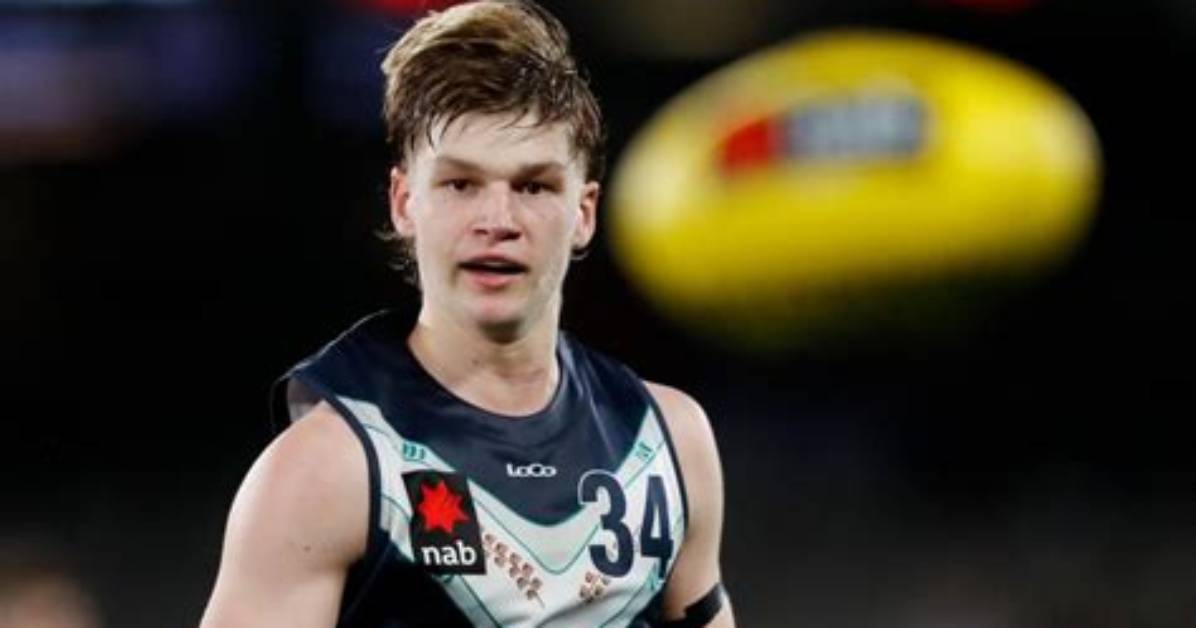 Lewis Hayes Net Worth
