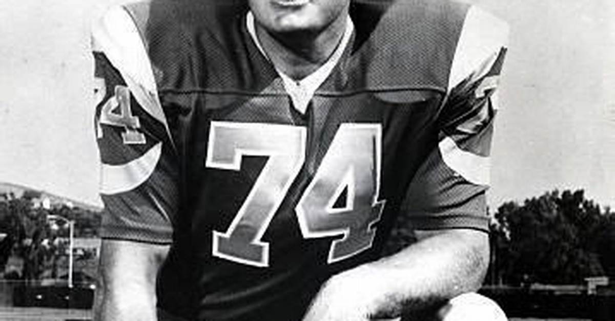 Merlin Olsen Net Worth