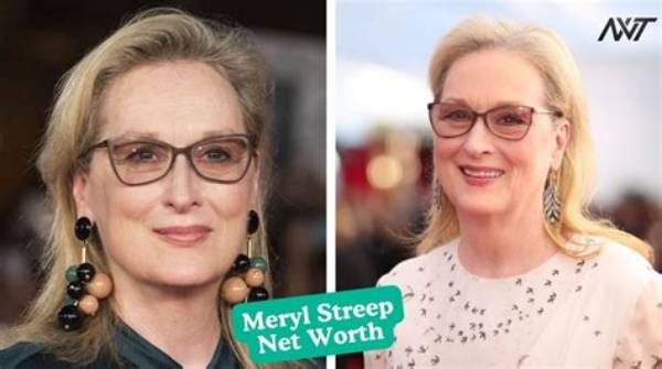 Meryl Bush Net Worth