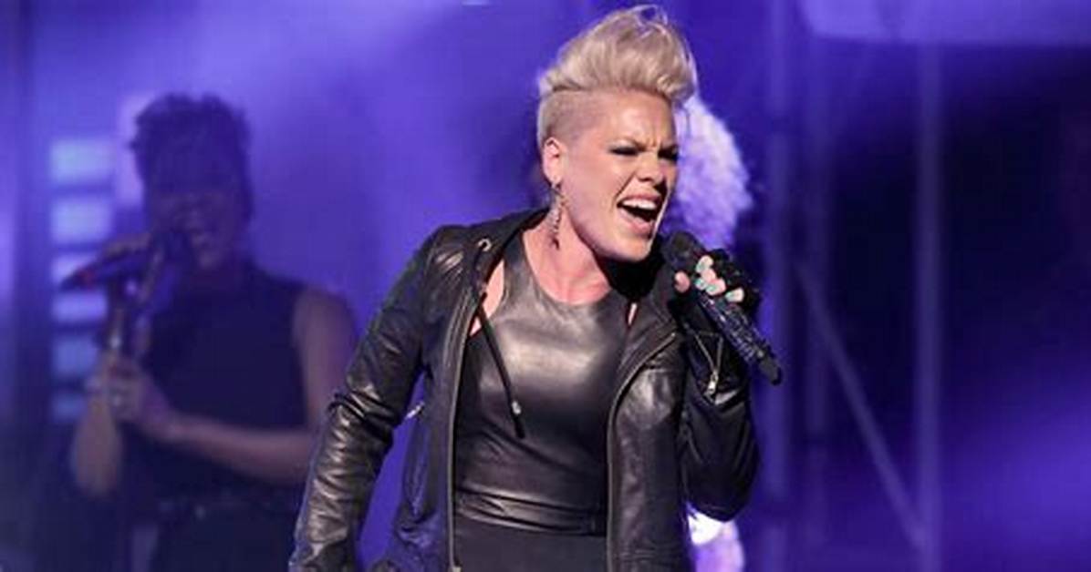 P! Nk Net Worth