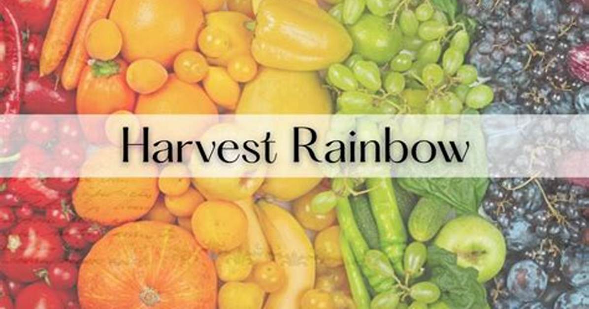 Rainbow Harvest Net Worth