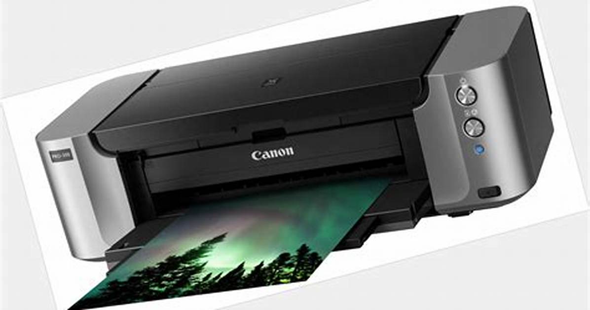 Reccie Canon Net Worth