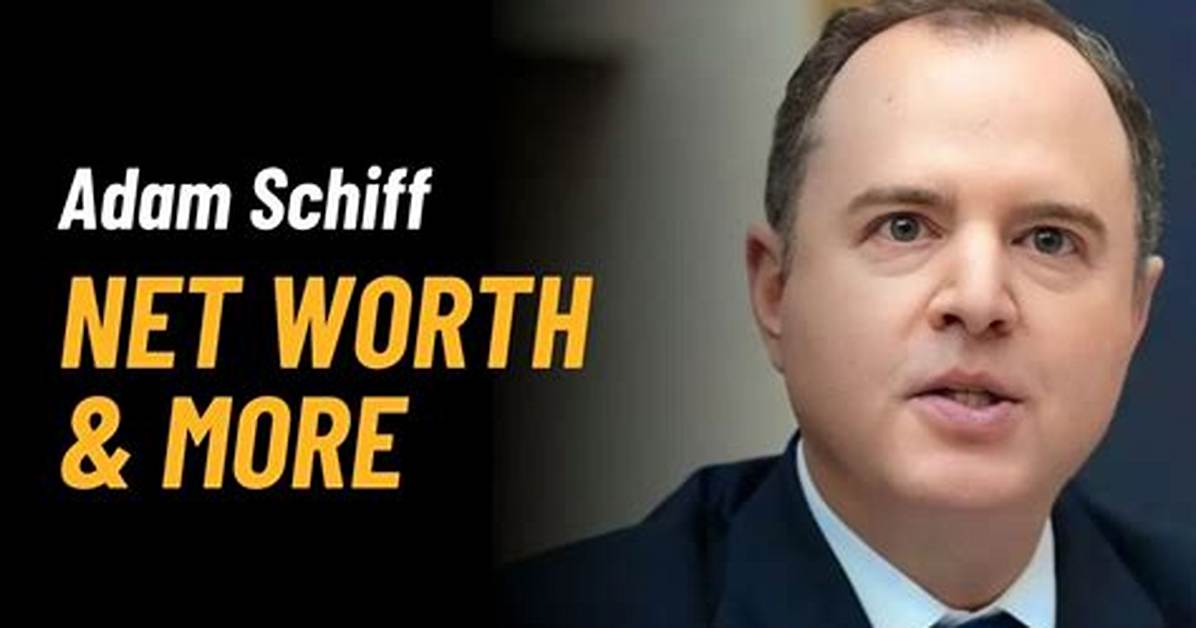 Robin Schiff Net Worth