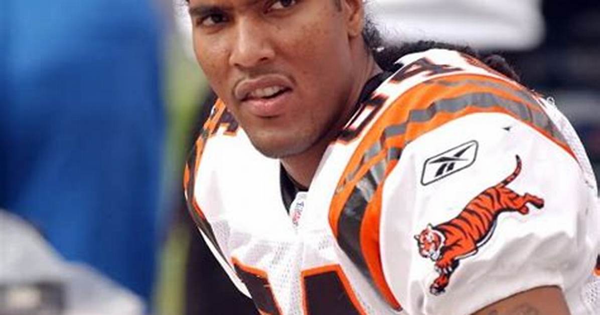 T. J. Houshmandzadeh Net Worth