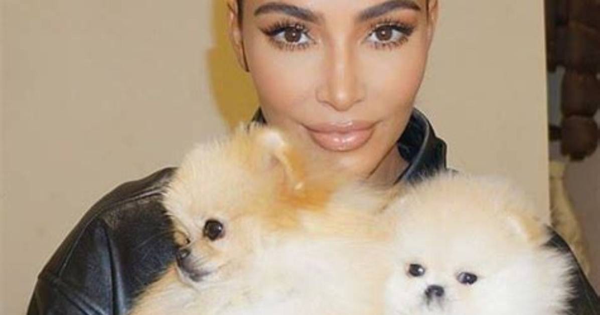 The Kendalls Net Worth