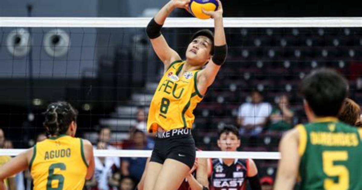 The Tams Net Worth
