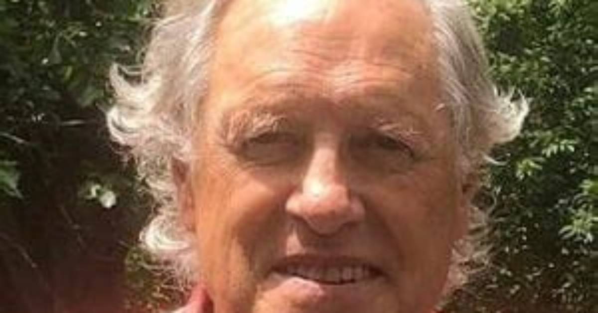 Tom Chapin Net Worth