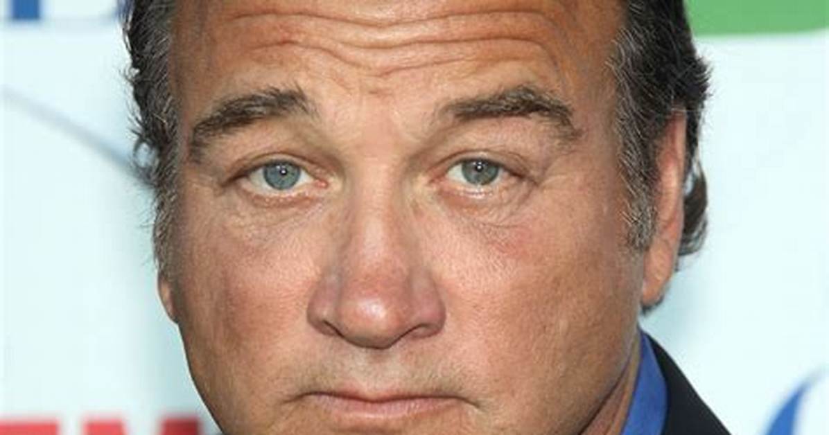 Traci Belushi Net Worth