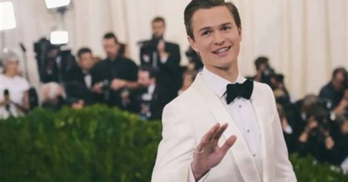 Warren Elgort Net Worth
