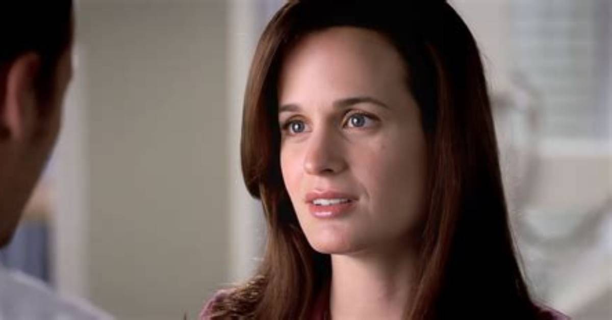 What Is Grey’s Anathomy Actress Elizabeth Reaser’s Net Worth?