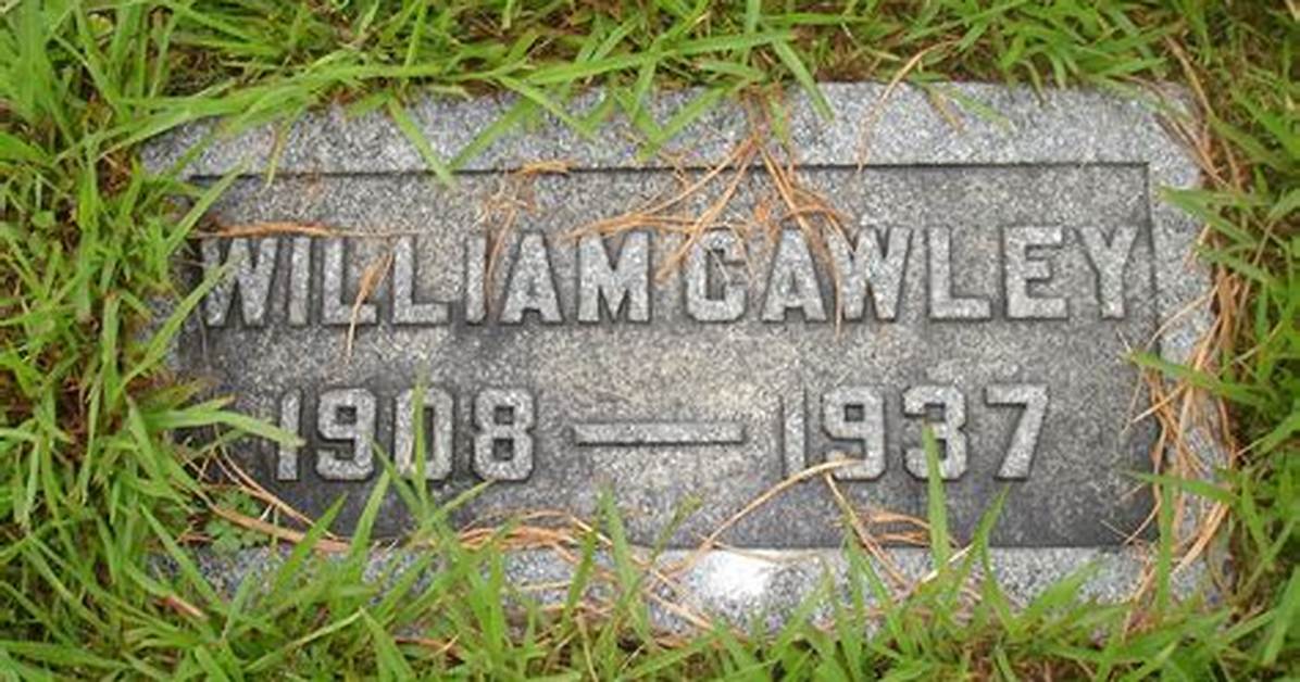 William Cawley Net Worth