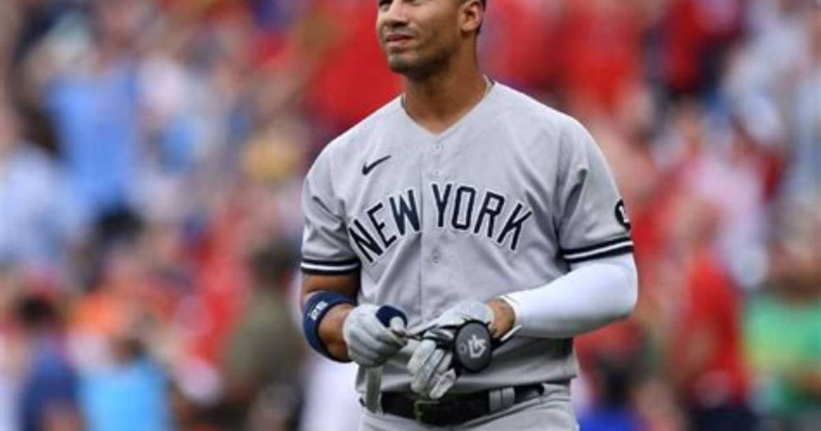 Wilson Torres Net Worth